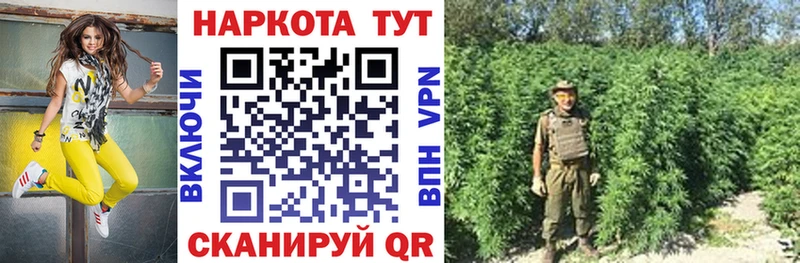 Купить наркотики цена Ленинградская Гашиш  АМФ  Метадон  Мефедрон  гидра зеркало  Alpha-PVP  КОКАИН 