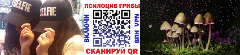 Галлюциногенные грибы MAGIC MUSHROOMS Ленинградская