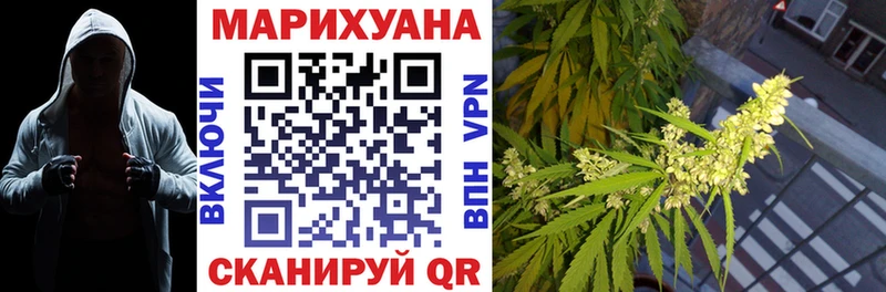 МАРИХУАНА сатива  Ленинградская 